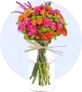 Gerbera
