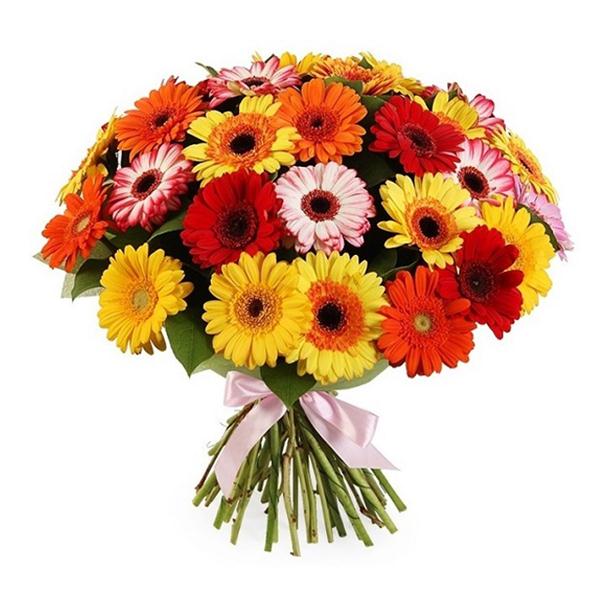 31 Karışık Renk Gerbera Buketi