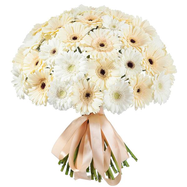 35 Beyaz Gerbera Buketi
