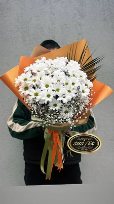 Jumbo Boy Papatya Buketi
